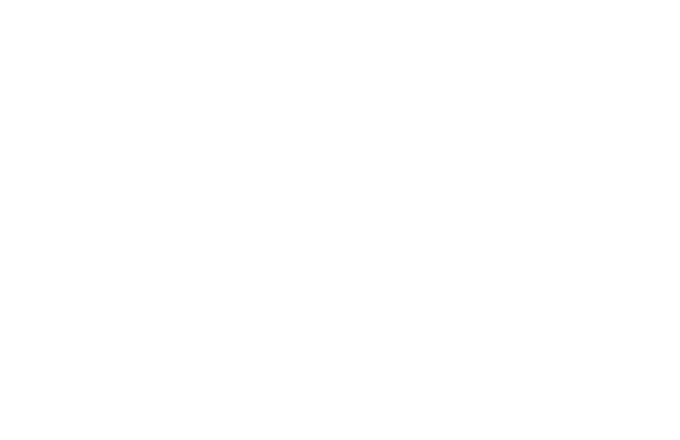 カメイの車検